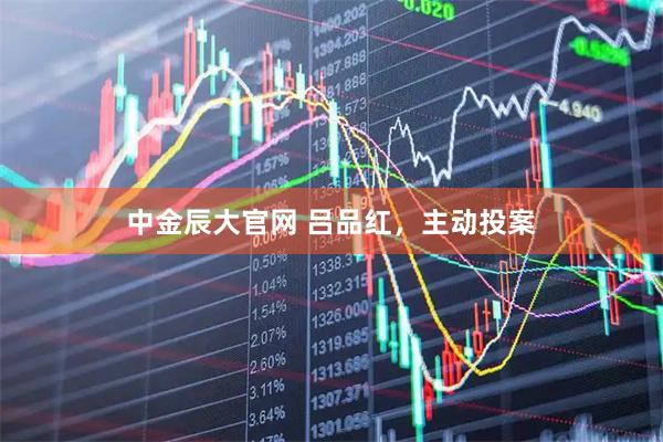 中金辰大官网 吕品红，主动投案