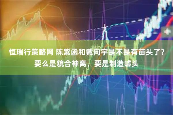 恒瑞行策略网 陈紫函和戴向宇是不是有苗头了？要么是貌合神离，要是制造噱头