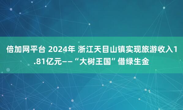 倍加网平台 2024年 浙江天目山镇实现旅游收入1.81亿元——“大树王国”借绿生金