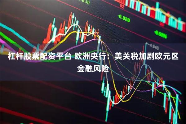 杠杆股票配资平台 欧洲央行：美关税加剧欧元区金融风险