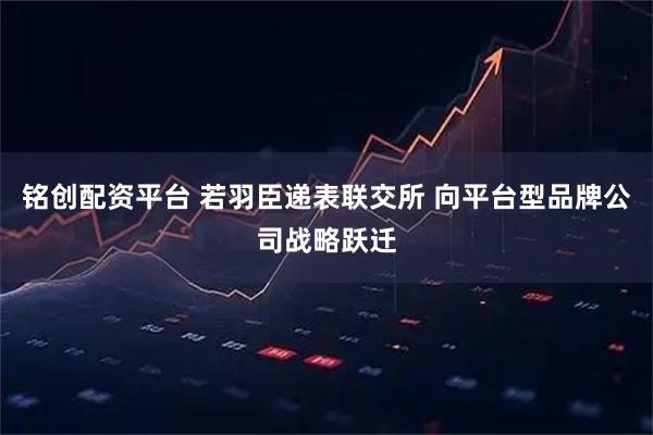 铭创配资平台 若羽臣递表联交所 向平台型品牌公司战略跃迁
