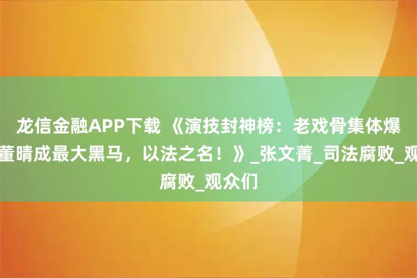龙信金融APP下载 《演技封神榜：老戏骨集体爆发，董晴成最大黑马，以法之名！》_张文菁_司法腐败_观众们